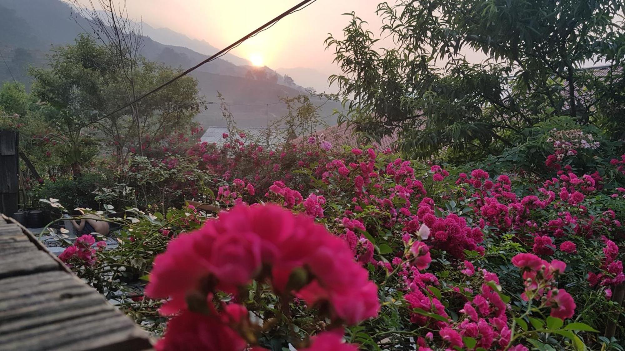 Tavan View Homestay Сапа Екстериор снимка